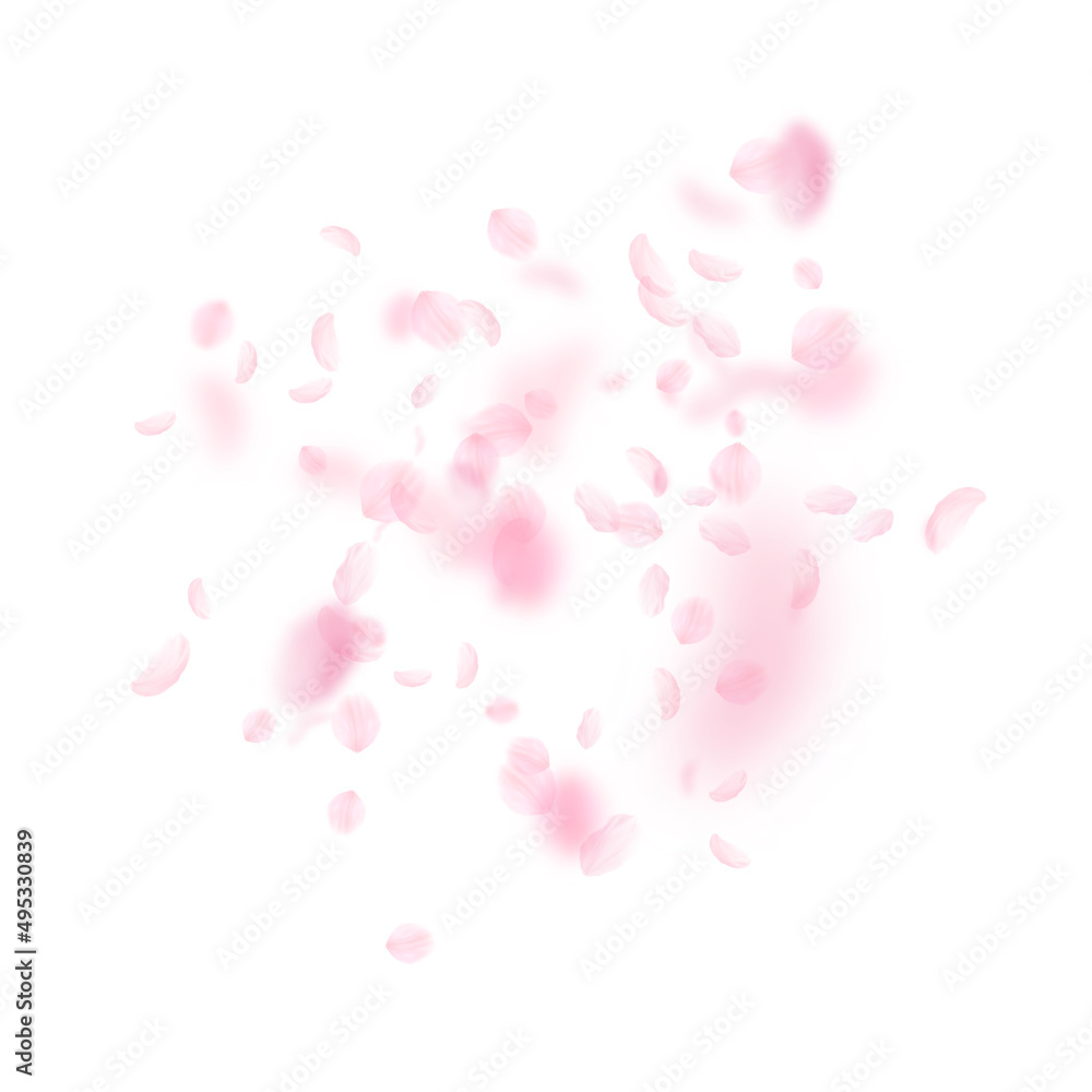 Sakura petals falling down. Romantic pink flowers explosion. Flying petals on white square background. Love, romance concept. Ecstatic wedding invitation.