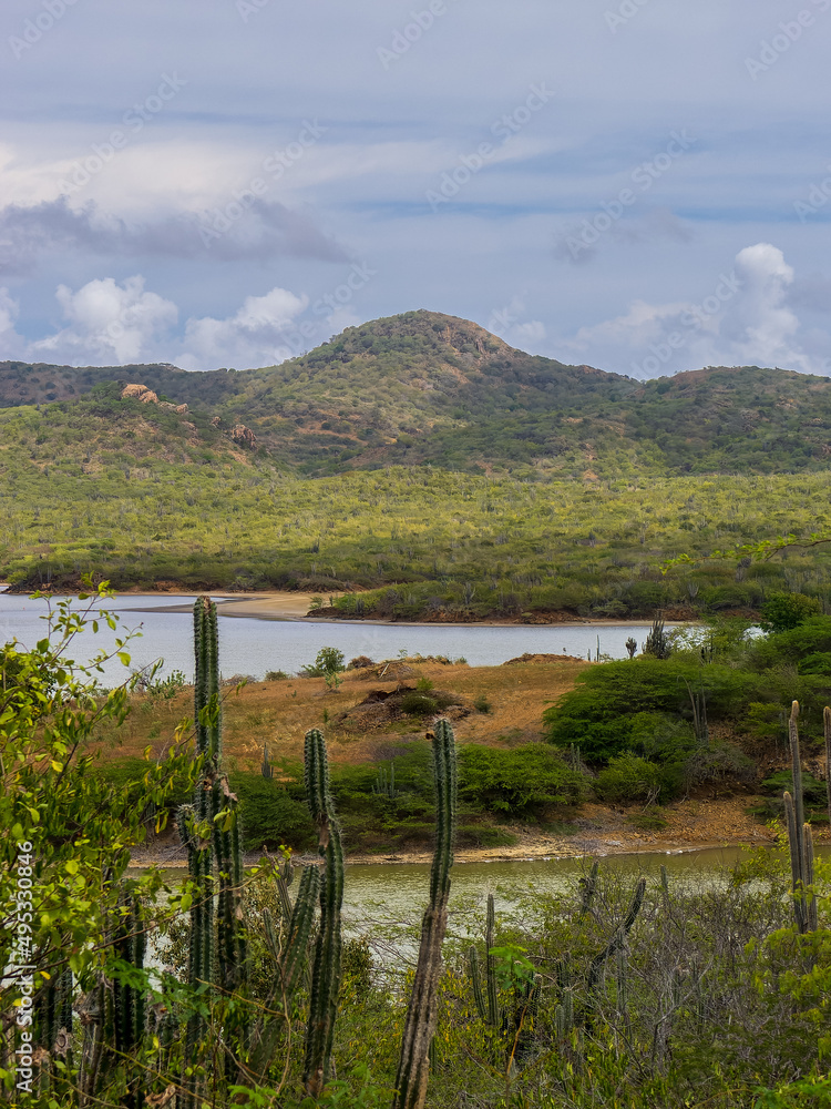 Vertical view of Goto Salt and Flamingo Lake on the island of Bonaire
