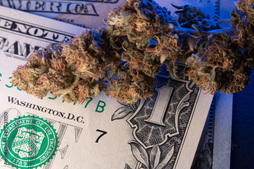 Dry Cannabis Buds on top of one Dollar Banknote. Dollar Bills and Weed Drugs.