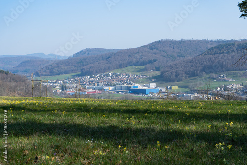 Queen of the mountains, mount rigi is located in the heart of switzerland. Rigi excites her summer visitors with wonderful views of the lakes and mountains as well as an impressive variety of alpine photo