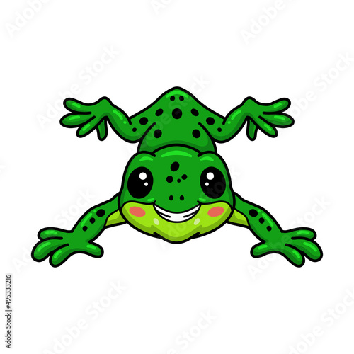 Cute little frog cartoon character © frescostudio