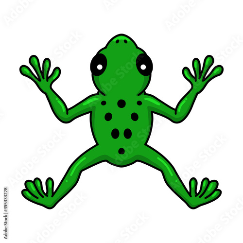 Cute little frog cartoon character