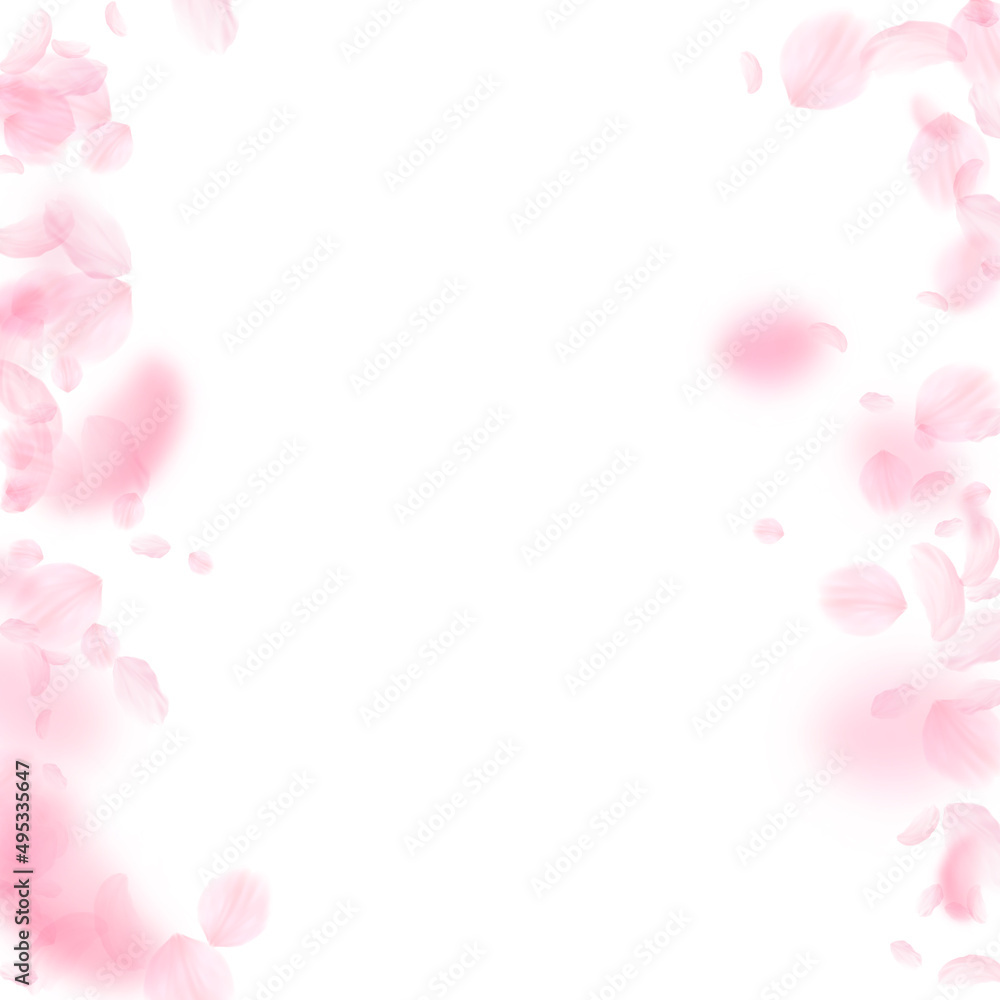 Sakura petals falling down. Romantic pink flowers borders. Flying petals on white square background. Love, romance concept. Perfect wedding invitation.