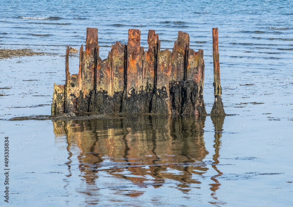 Rusting metal work in sea with seaweed Rusting metal work in sea with seaweed
