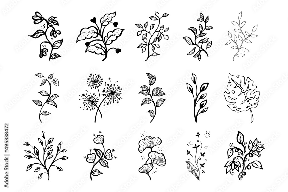 Hand drawn vector design floral elements Hand drawn vector design floral elements