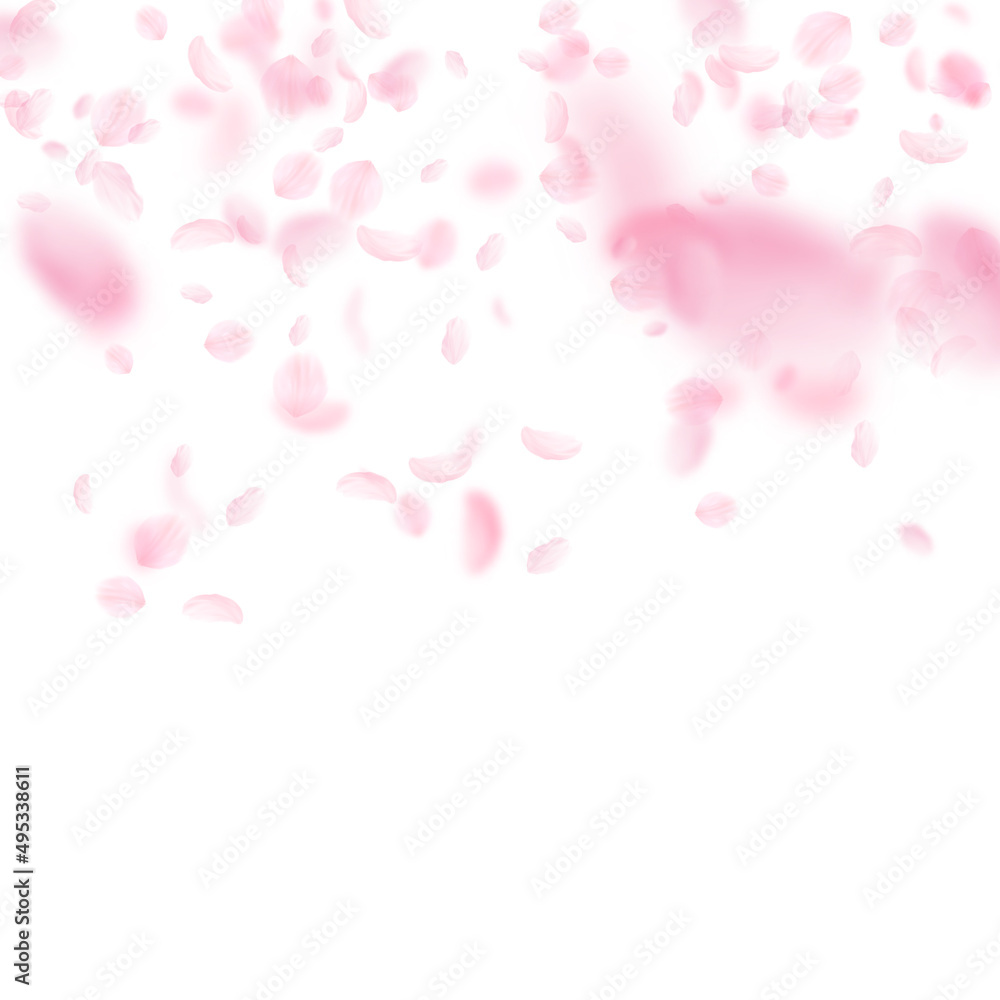 Sakura petals falling down. Romantic pink flowers gradient. Flying petals on white square background. Love, romance concept. Powerful wedding invitation.