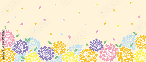 華やかな色のアジサイの背景　紫陽花　梅雨　カラフル