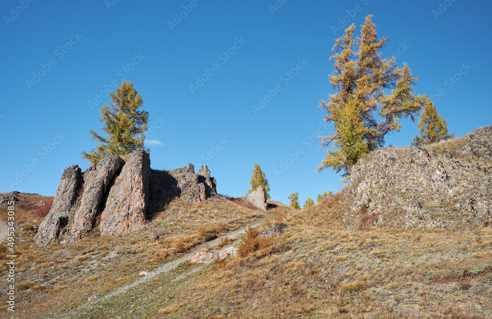 Altai autumn landscape with country road, rocks and yellow larch trees. Altai, Russia Altai autumn landscape with country road, rocks and yellow larch trees. Altai, Russia
