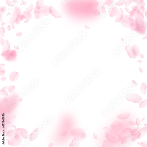 Sakura petals falling down. Romantic pink flowers vignette. Flying petals on white square background. Love, romance concept. Ideal wedding invitation. © Begin Again