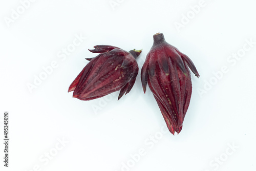 rosella fruit photo