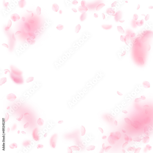 Fototapeta Naklejka Na Ścianę i Meble -  Sakura petals falling down. Romantic pink flowers vignette. Flying petals on white square background. Love, romance concept. Fine wedding invitation.