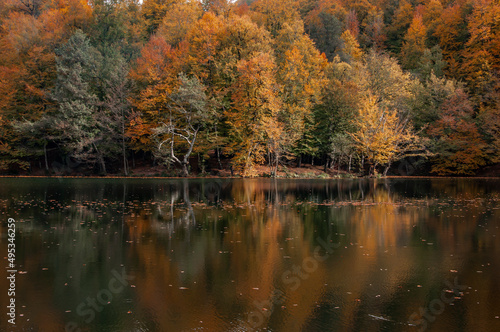 Autumn season landscapes in Yedigoller. Bolu   Turkey