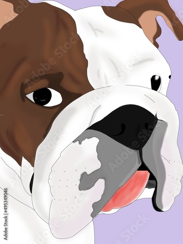Bulldog Ingles (ID: 495349046)