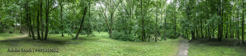 panoramic aerial view of green park landscape on summer cloudy day. picturesque green forest scenery.