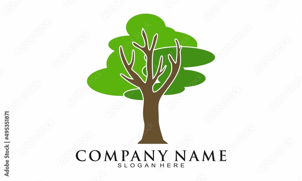 Obraz premium Nature shady tree illustration logo vector.