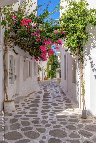  Traditional Cycladitic alley with narrow street, whitewashed houses and a blooming bougainvillea flowers in parikia, Paros island, Greece