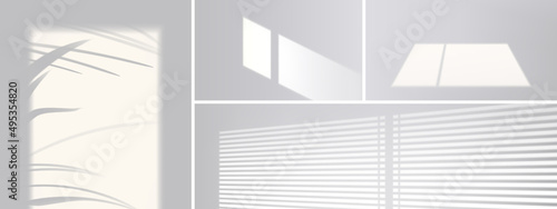 Shadow overlay effect from window, blinds and plant leaves on white wall. Vector realistic mockup of room with sunlight and gray shades of palm tree, window frame and louvers