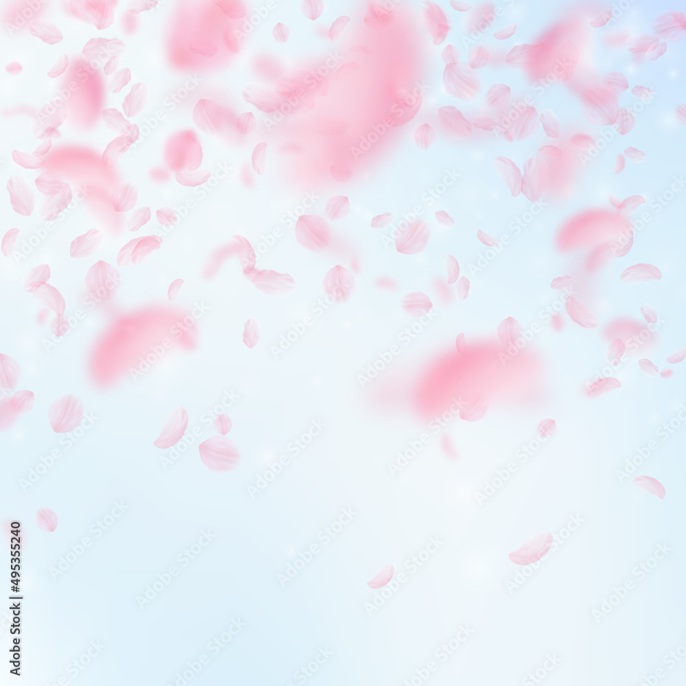 Sakura petals falling down. Romantic pink flowers falling rain. Flying petals on blue sky square background. Love, romance concept. Extra wedding invitation.