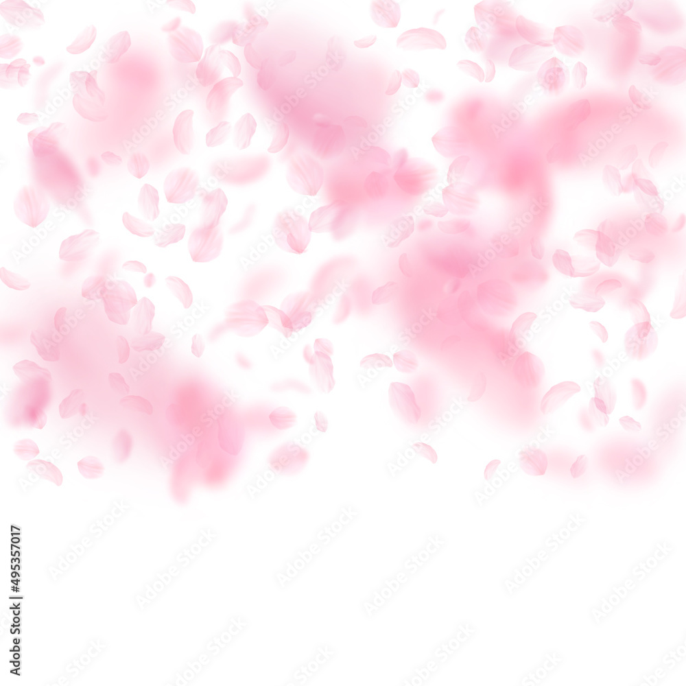 Sakura petals falling down. Romantic pink flowers gradient. Flying petals on white square background. Love, romance concept. Amusing wedding invitation.