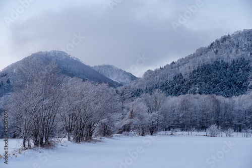 山並みと白く霜を纏った木々の冬景色。