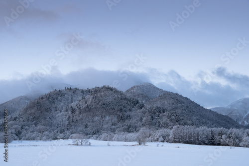 山並みと白く霜を纏った木々の冬景色。