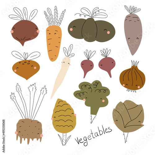 Big set of vector vegetables. Hand vegetables. Pumpkin, beet, cabbage, broccoli, artichoke, celery, carrot, pepper, asparagus, radish, turnip, onion, daikon.