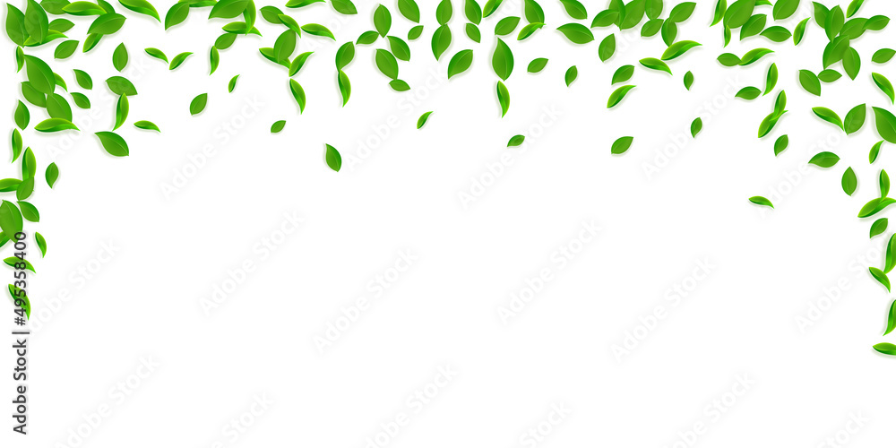 Falling green leaves. Fresh tea chaotic leaves fly Falling green leaves. Fresh tea chaotic leaves fly