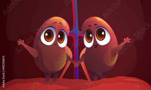 Cute characters of kidneys, human internal organs for dialysis and filter function. Vector cartoon medical illustration of renal system, nephrology part of body anatomy
