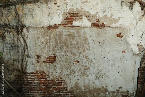  An old brick wall with perched roots, Background texture.