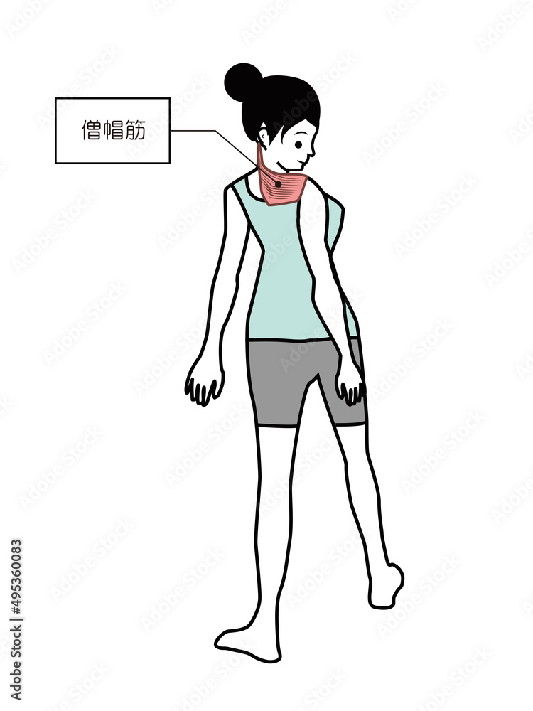 僧帽筋。振り返る若い女性。 僧帽筋。振り返る若い女性。