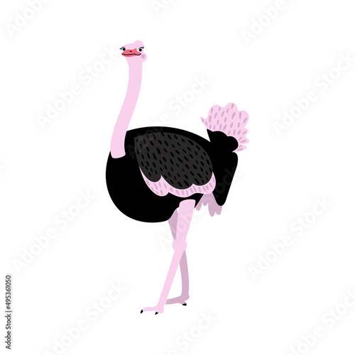 Cute ostriches on a white background. Vector flat illustration with flightless bird