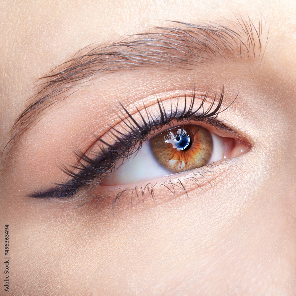 Closeup macro shot of human female eye with light pink eyes shadows Closeup macro shot of human female eye with light pink eyes shadows