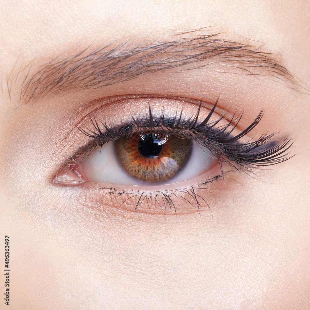 Closeup macro shot of human female eye with light pink eyes shadows Closeup macro shot of human female eye with light pink eyes shadows