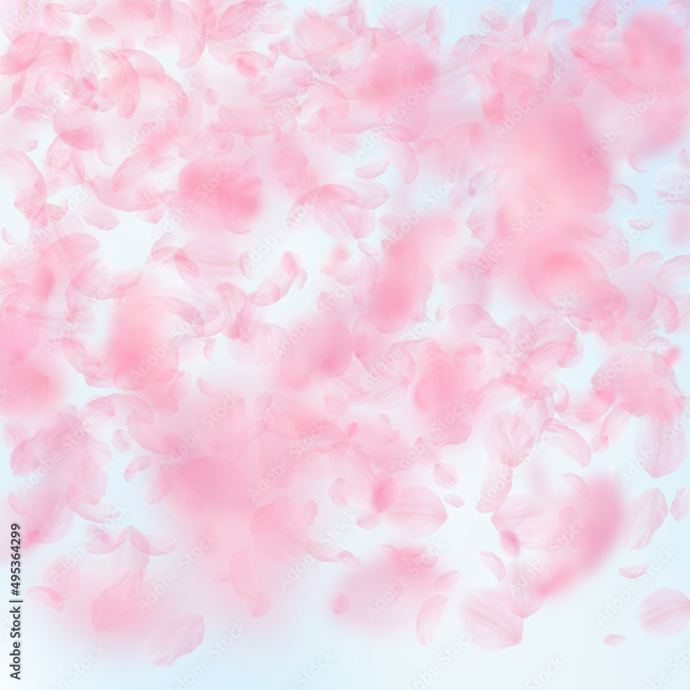 Sakura petals falling down. Romantic pink flowers gradient. Flying petals on blue sky square background. Love, romance concept. Pleasant wedding invitation.