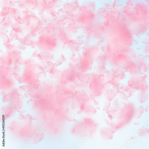 Sakura petals falling down. Romantic pink flowers gradient. Flying petals on blue sky square background. Love, romance concept. Pleasant wedding invitation.