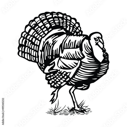 Vintage turkey sketch vector illustration