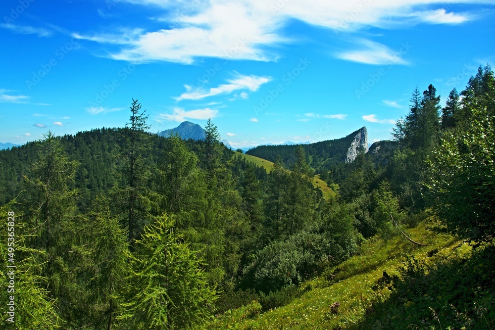 Obraz premium Austrian Alps - view of Stubwieswipfel mountain in Totes Gebirge near Spital am Pyhrn
