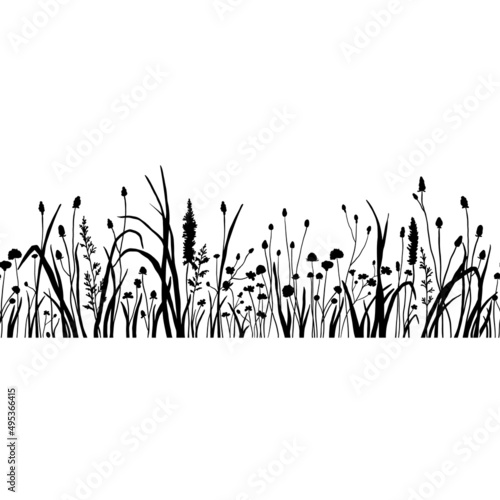 Seamless border with silhouette wildflowers grass. Vector black hand drawn illustration with summer flowers. Shadow of herb and plant. Nature field isolated on white background