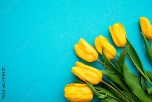 Hello Spring. Six yellow tulips lies at right corner on a blue background. Flat lay. Copy space. Concept of Easter Holiday