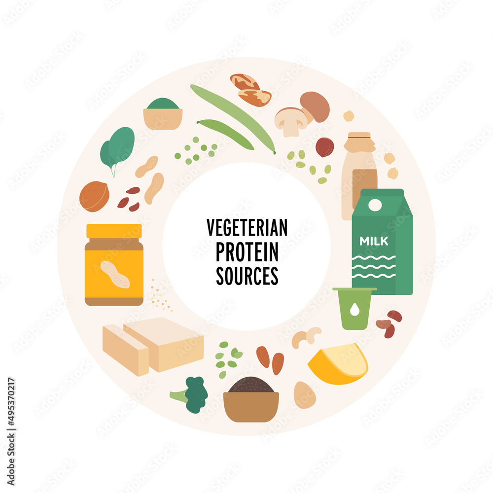 Food guide concept. Vector flat modern illustration. Vegaterian protein sources food plate infographic in circle frame. Colorful food icon set of vegetables, nuts, oats, mushroom and dairy products.