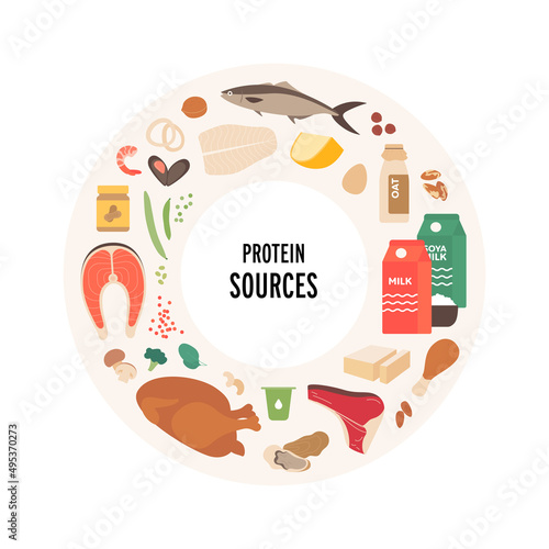 Food guide concept. Vector flat modern illustration. Protein sources food plate infographic circle frame with label. Colorful food and meal icon set meat, seafood, vegetables and dairy products.