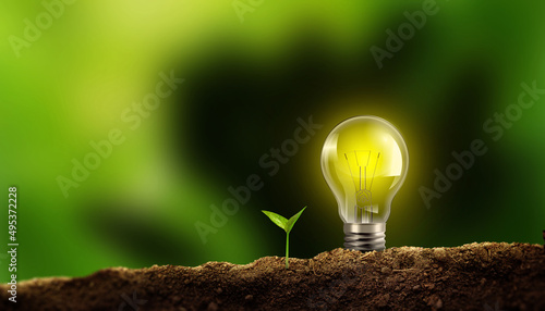 Light Bulb with Small Plant on Soil in Green nature bokeh background. Save Erath and Planet, Sustainable Energy and Ecological Friendly Concept 