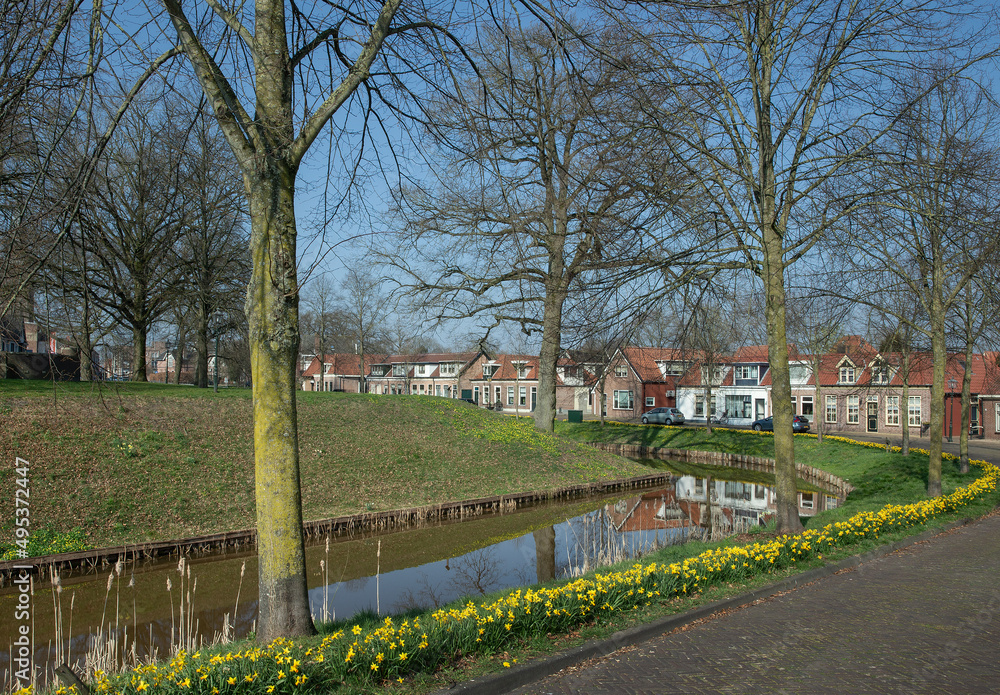 Spring. Daffodils flowering. Fortification and canal of Steenwijk Overijssel Netherlands. Spring. Daffodils flowering. Fortification and canal of Steenwijk Overijssel Netherlands.