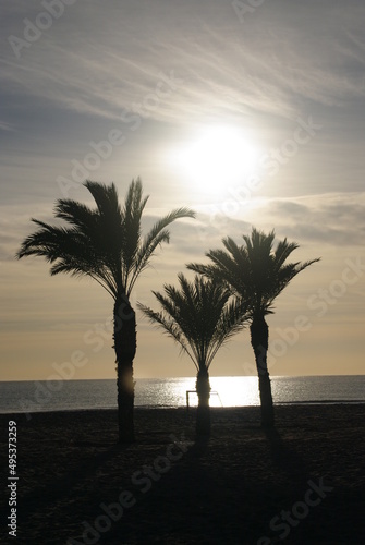 landscape with sea sunset on beach