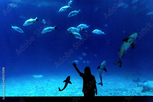 Girl watching a school of fish swimming in the aquarium