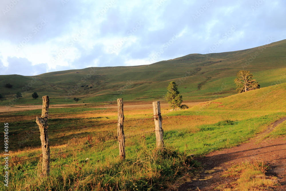 Le plateau du Cézallier en Auvergne