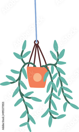 Hanging House Plant in Pot Cartoon illustration