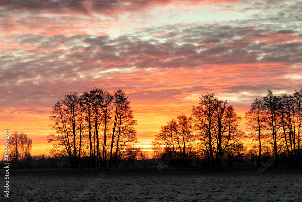Sonnenaufgang auf einem Feld in Bayern im Winter