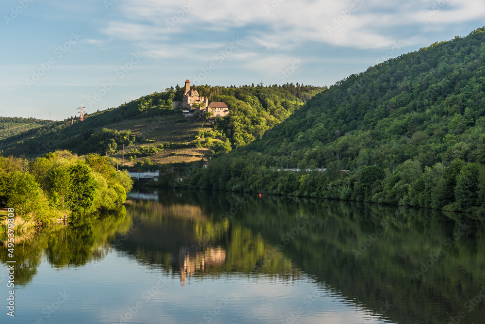 Fototapeta premium Burg Hornberg im Neckartal, Neckarzimmern, Baden-Württemberg, Deutschland