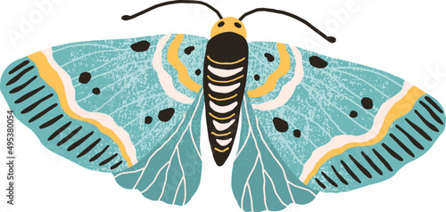 Butterfly or Moth Colored Illustration 